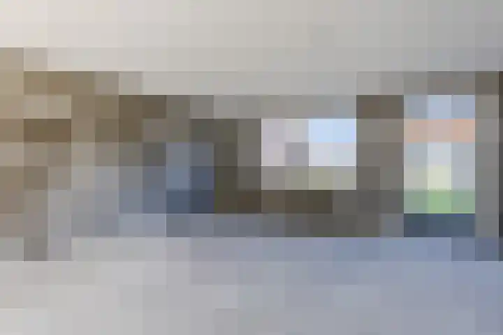 Raaigras 40 Assendelft thumbnail 13