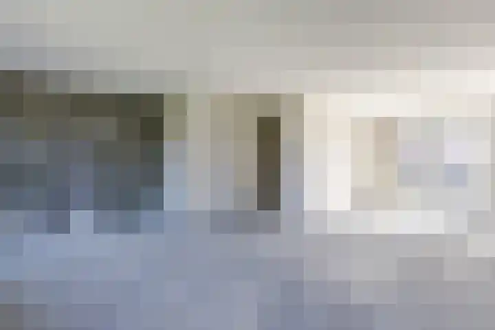Raaigras 40 Assendelft thumbnail 14
