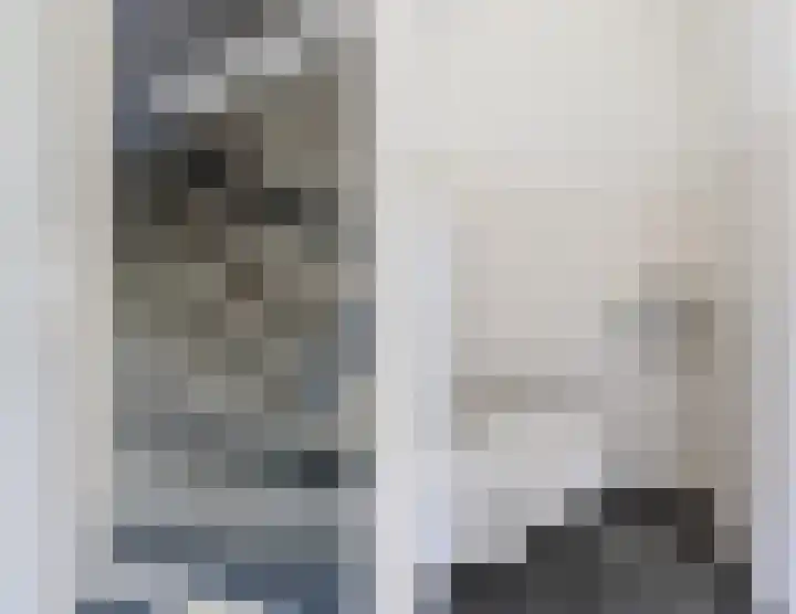 Raaigras 40 Assendelft thumbnail 15
