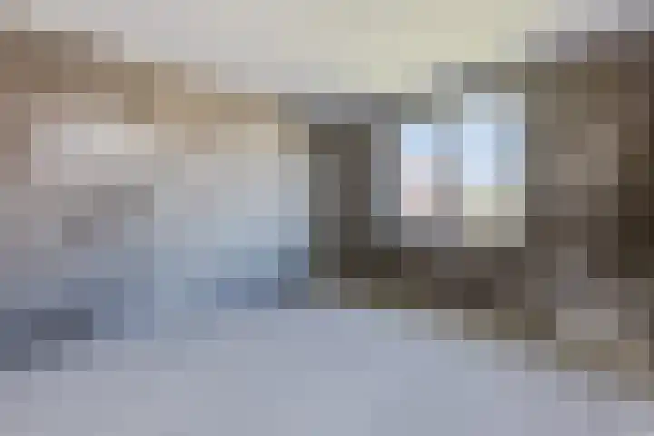 Raaigras 40 Assendelft thumbnail 16