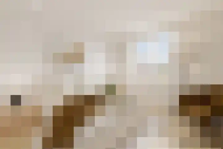 Raaigras 40 Assendelft thumbnail 17