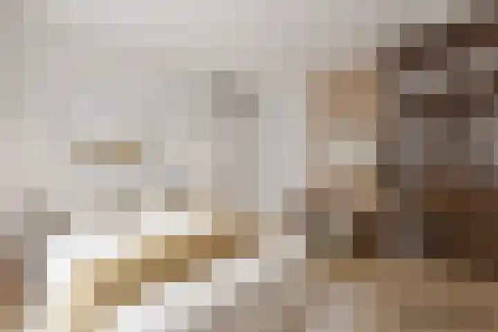 Raaigras 40 Assendelft thumbnail 19