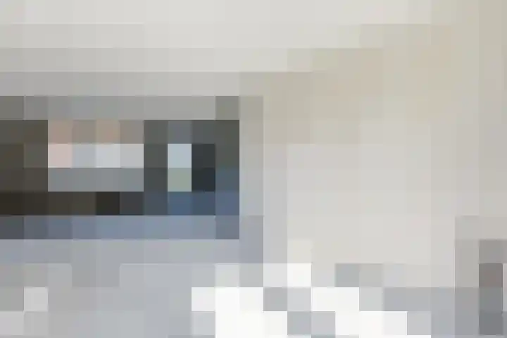 Raaigras 40 Assendelft foto 2