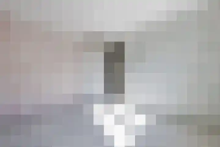Raaigras 40 Assendelft thumbnail 21