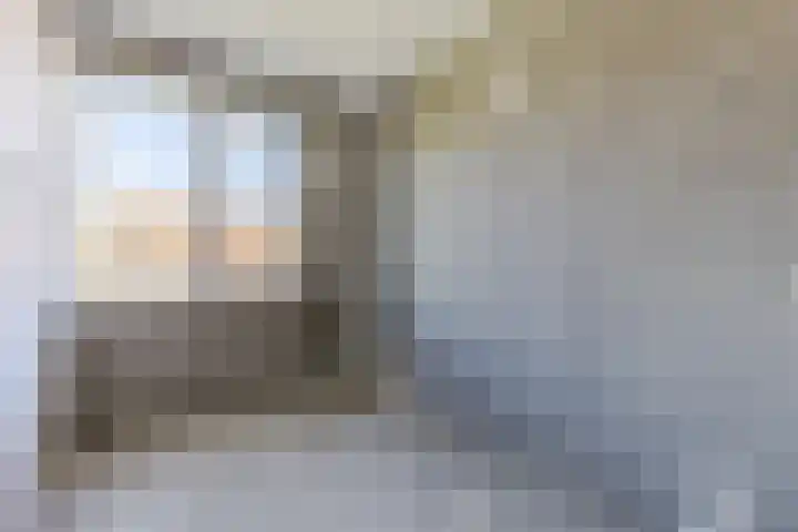 Raaigras 40 Assendelft thumbnail 22
