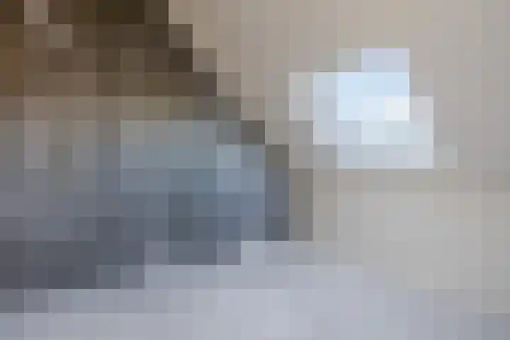 Raaigras 40 Assendelft thumbnail 27