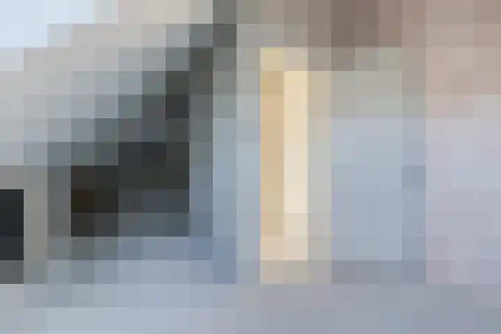 Raaigras 40 Assendelft thumbnail 28