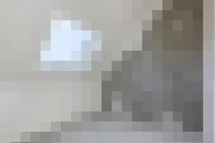 Raaigras 40 Assendelft thumbnail 29