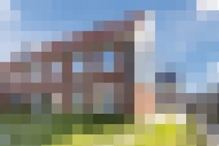 Raaigras 40 Assendelft foto 3