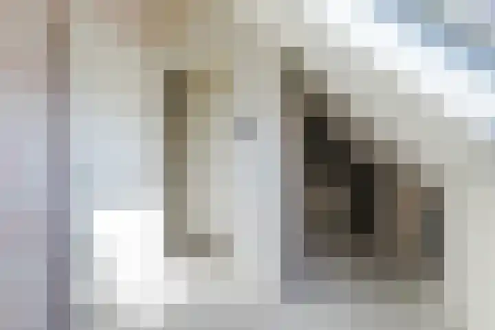 Raaigras 40 Assendelft thumbnail 30