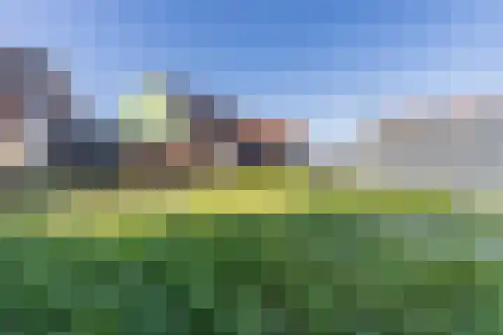 Raaigras 40 Assendelft thumbnail 33