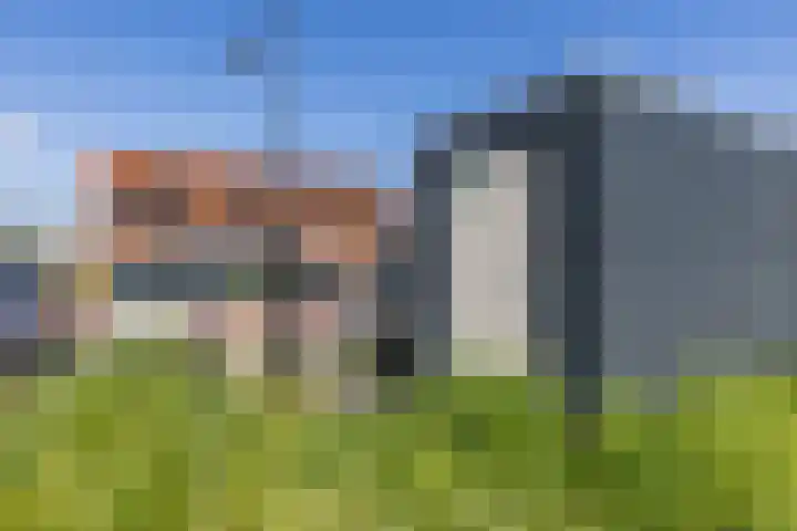 Raaigras 40 Assendelft thumbnail 34