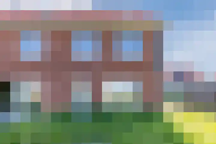 Raaigras 40 Assendelft thumbnail 35