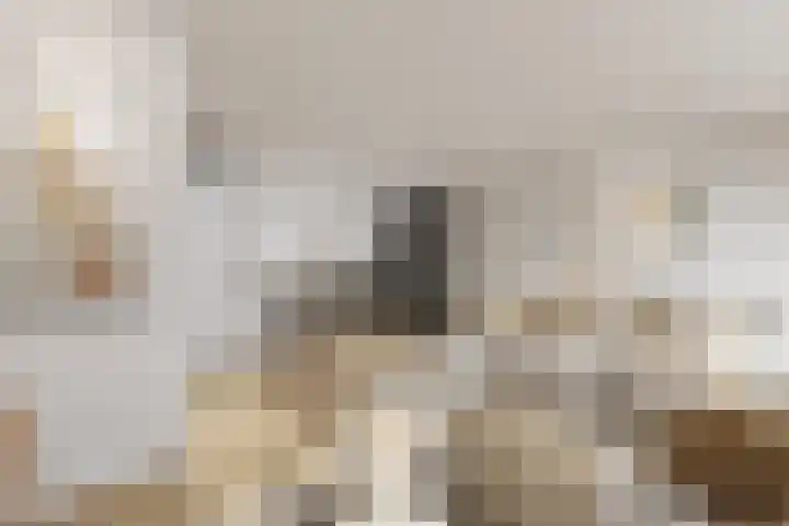 Raaigras 40 Assendelft thumbnail 4