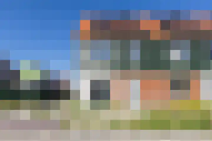Raaigras 40 Assendelft thumbnail 5