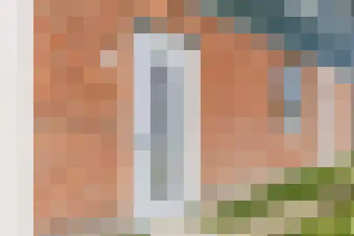 Raaigras 40 Assendelft thumbnail 7