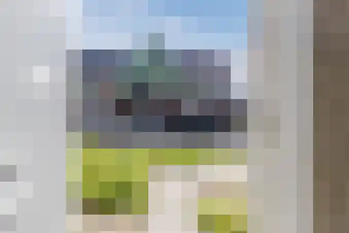 Raaigras 40 Assendelft thumbnail 9