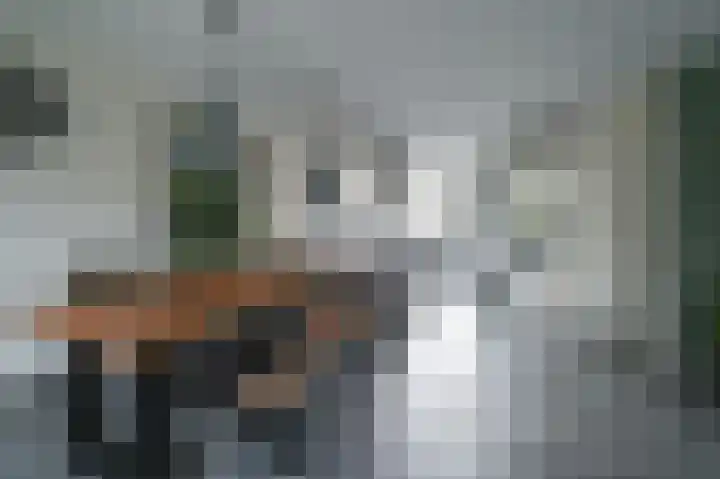 Raaigras 44 Wilnis thumbnail 10