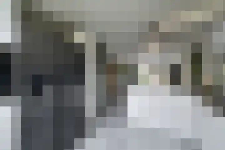 Raaigras 44 Wilnis thumbnail 12
