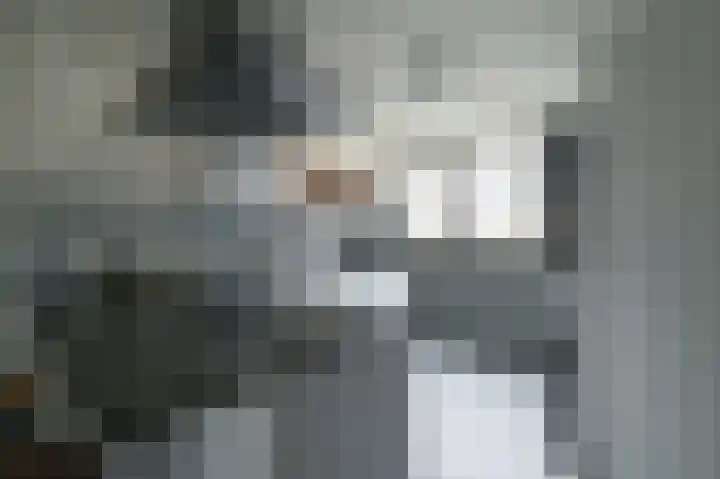 Raaigras 44 Wilnis thumbnail 14