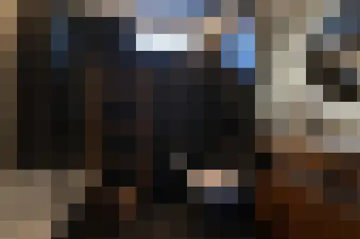 Raaigras 44 Wilnis thumbnail 22