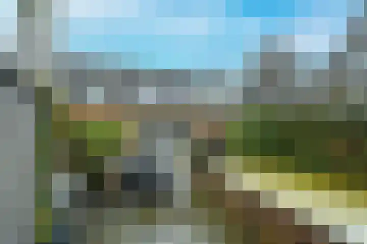 Raaigras 44 Wilnis thumbnail 27