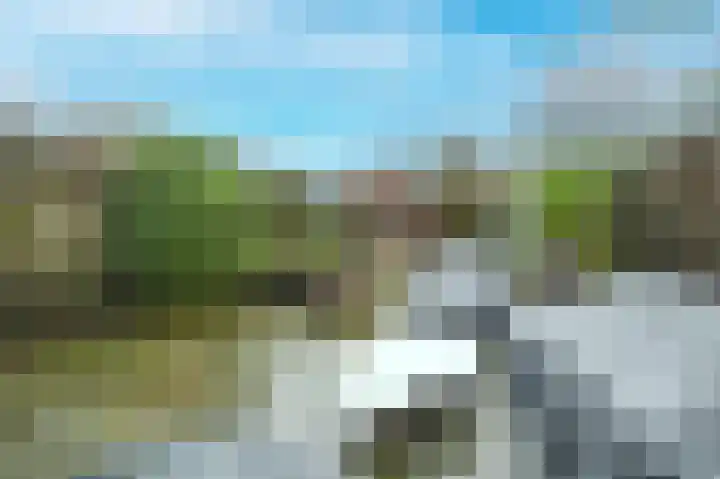 Raaigras 44 Wilnis thumbnail 29