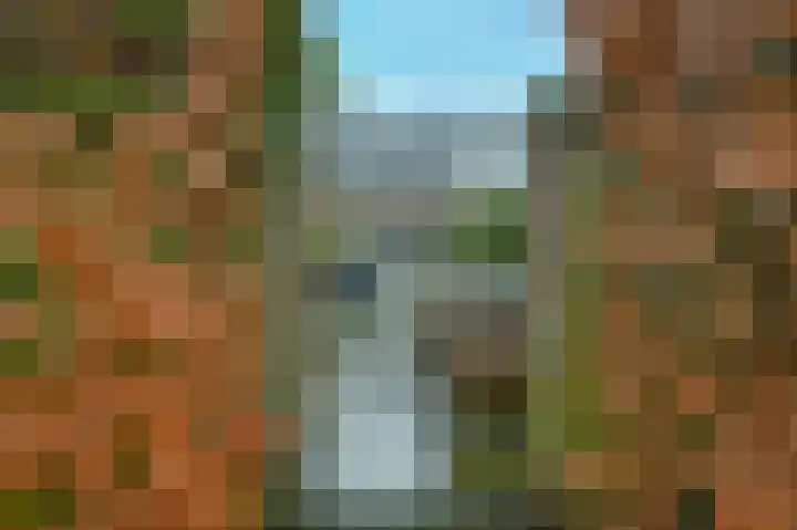 Raaigras 44 Wilnis thumbnail 30