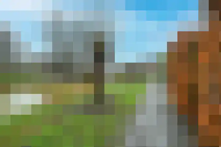 Raaigras 44 Wilnis thumbnail 31