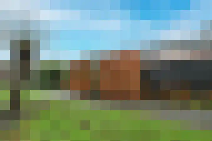 Raaigras 44 Wilnis thumbnail 32