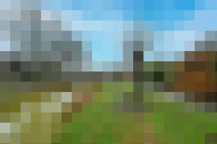 Raaigras 44 Wilnis thumbnail 33