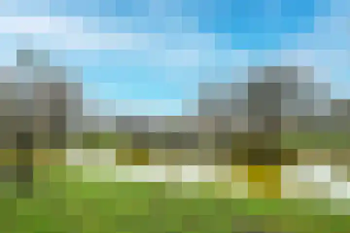 Raaigras 44 Wilnis thumbnail 34