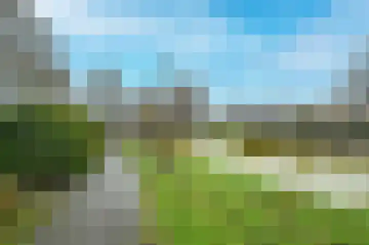 Raaigras 44 Wilnis thumbnail 35