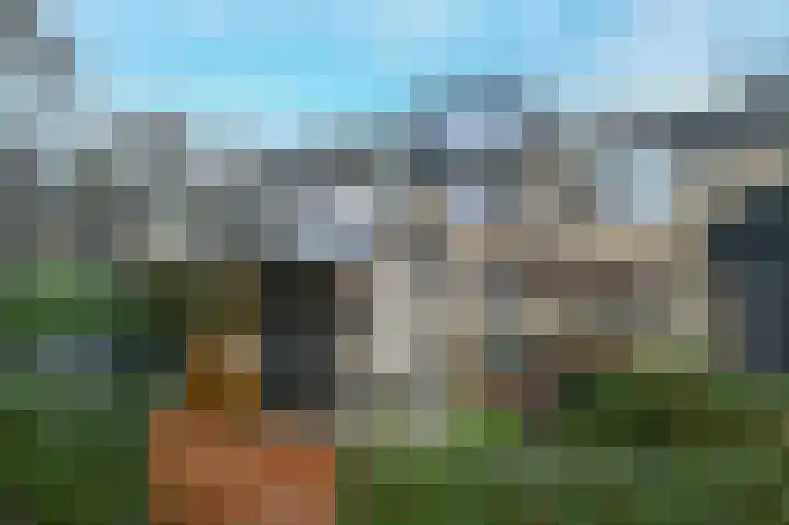 Raaigras 44 Wilnis thumbnail 36