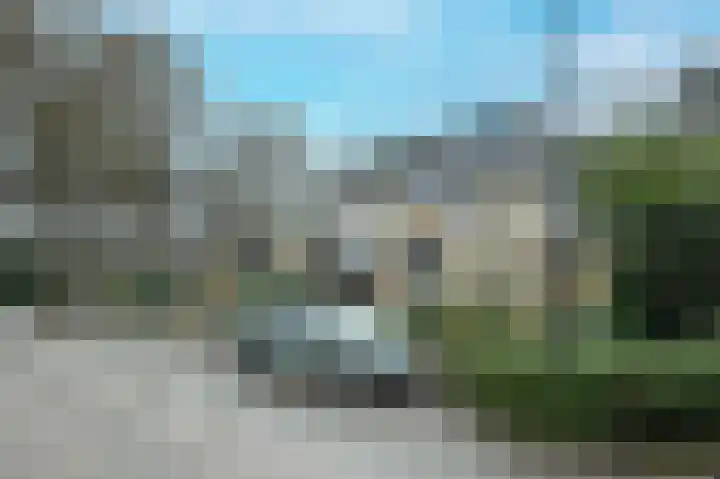 Raaigras 44 Wilnis thumbnail 37