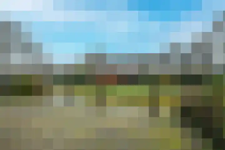 Raaigras 44 Wilnis thumbnail 39