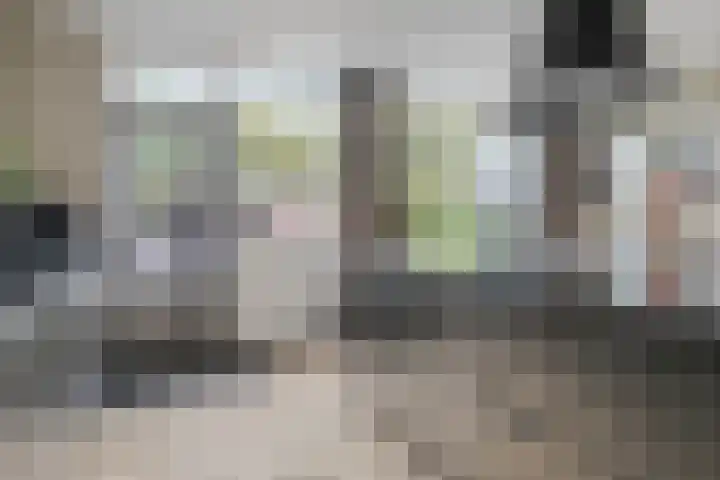 Raaigras 47 Rotterdam thumbnail 12