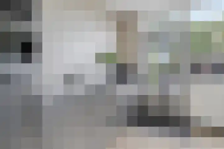 Raaigras 47 Rotterdam thumbnail 13