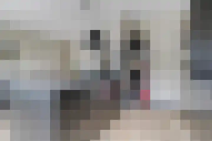 Raaigras 47 Rotterdam thumbnail 14