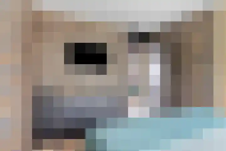 Raaigras 47 Rotterdam thumbnail 17