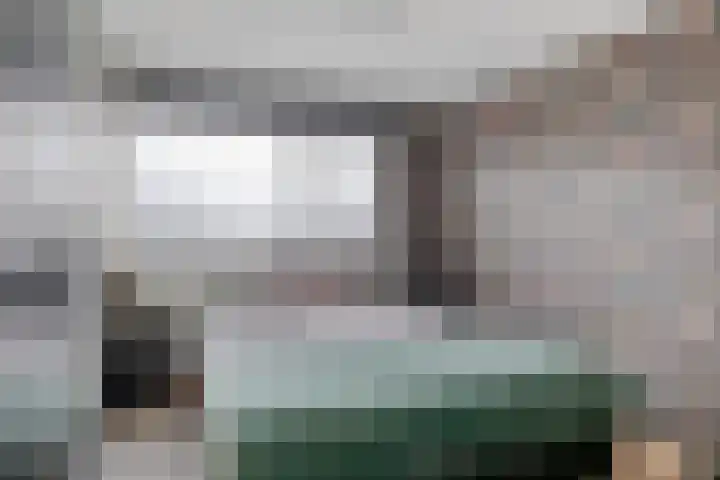 Raaigras 47 Rotterdam thumbnail 20