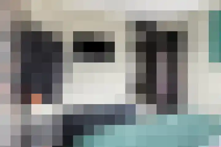 Raaigras 47 Rotterdam thumbnail 21