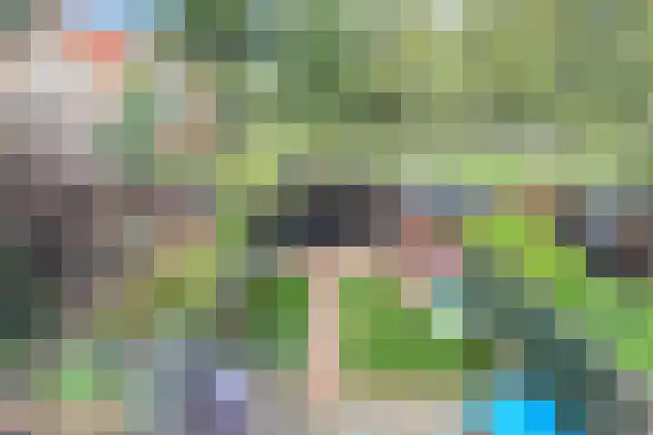 Raaigras 47 Rotterdam thumbnail 28