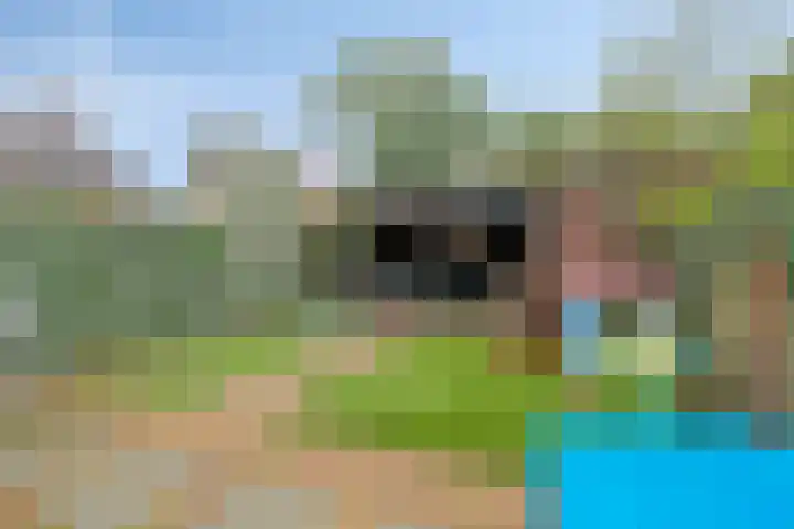 Raaigras 47 Rotterdam thumbnail 30