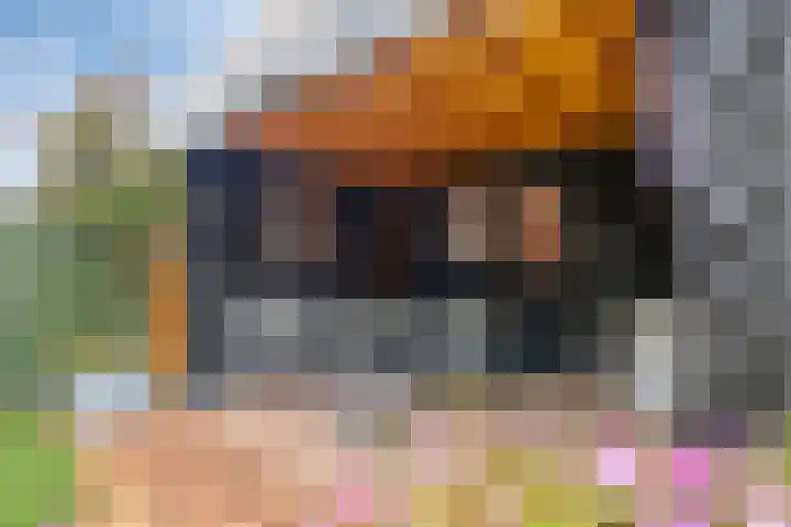 Raaigras 47 Rotterdam thumbnail 31