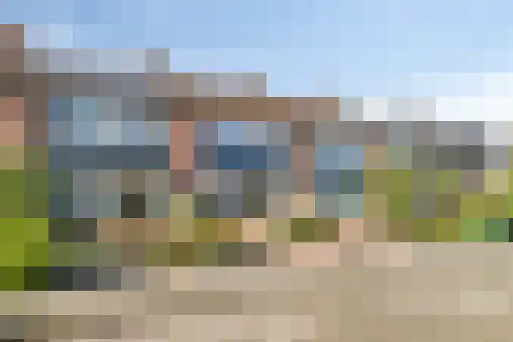 Raaigras 47 Rotterdam thumbnail 33
