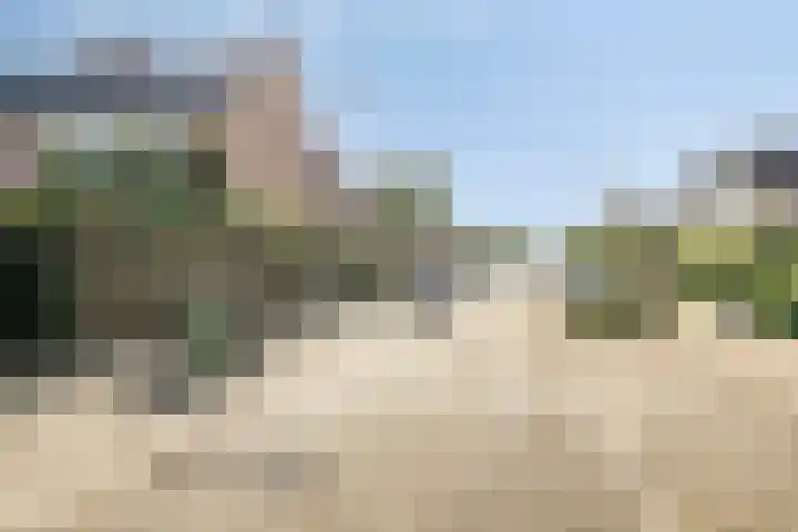 Raaigras 47 Rotterdam thumbnail 35