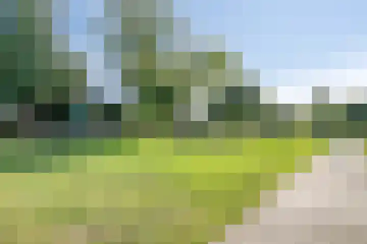 Raaigras 47 Rotterdam thumbnail 37