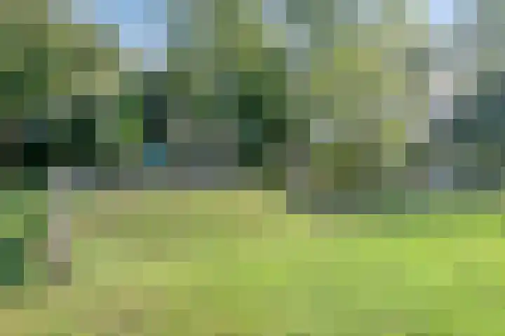 Raaigras 47 Rotterdam thumbnail 38