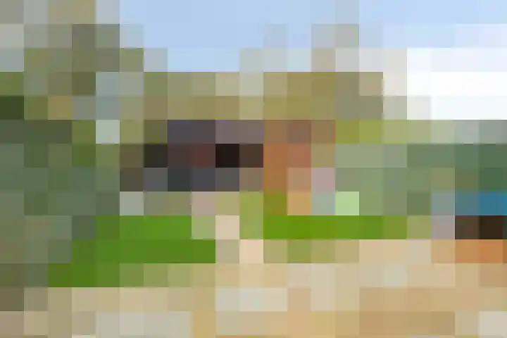 Raaigras 47 Rotterdam thumbnail 4
